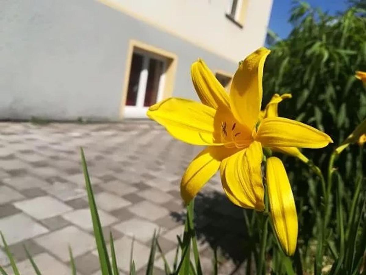 Haus Am Apfelbaum Appartement Bad Säckingen Buitenkant foto